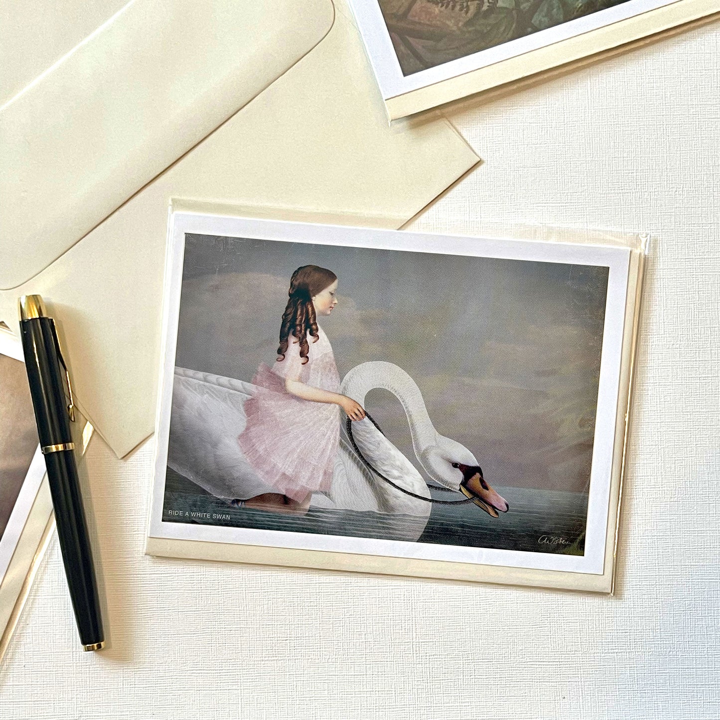 Postcard Set Catrin Welz-Stein