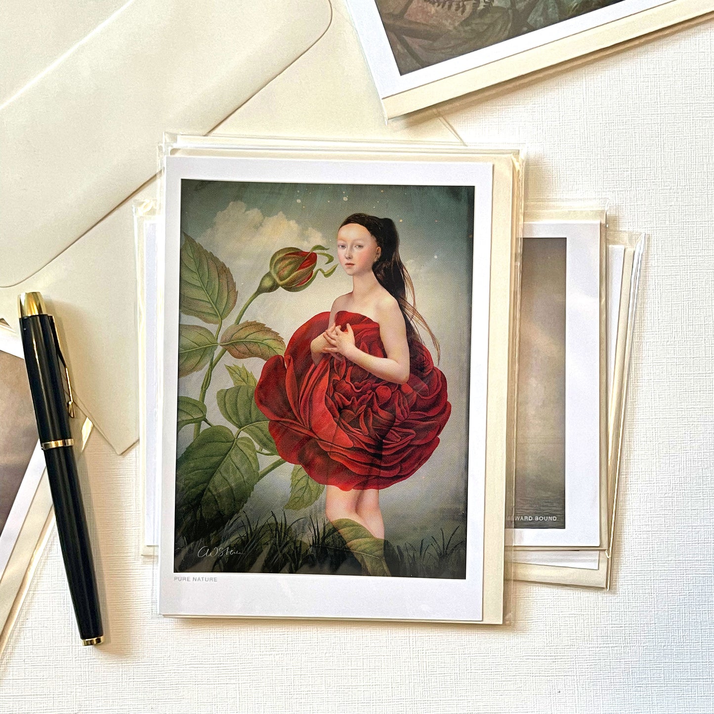 Postcard Set Catrin Welz-Stein