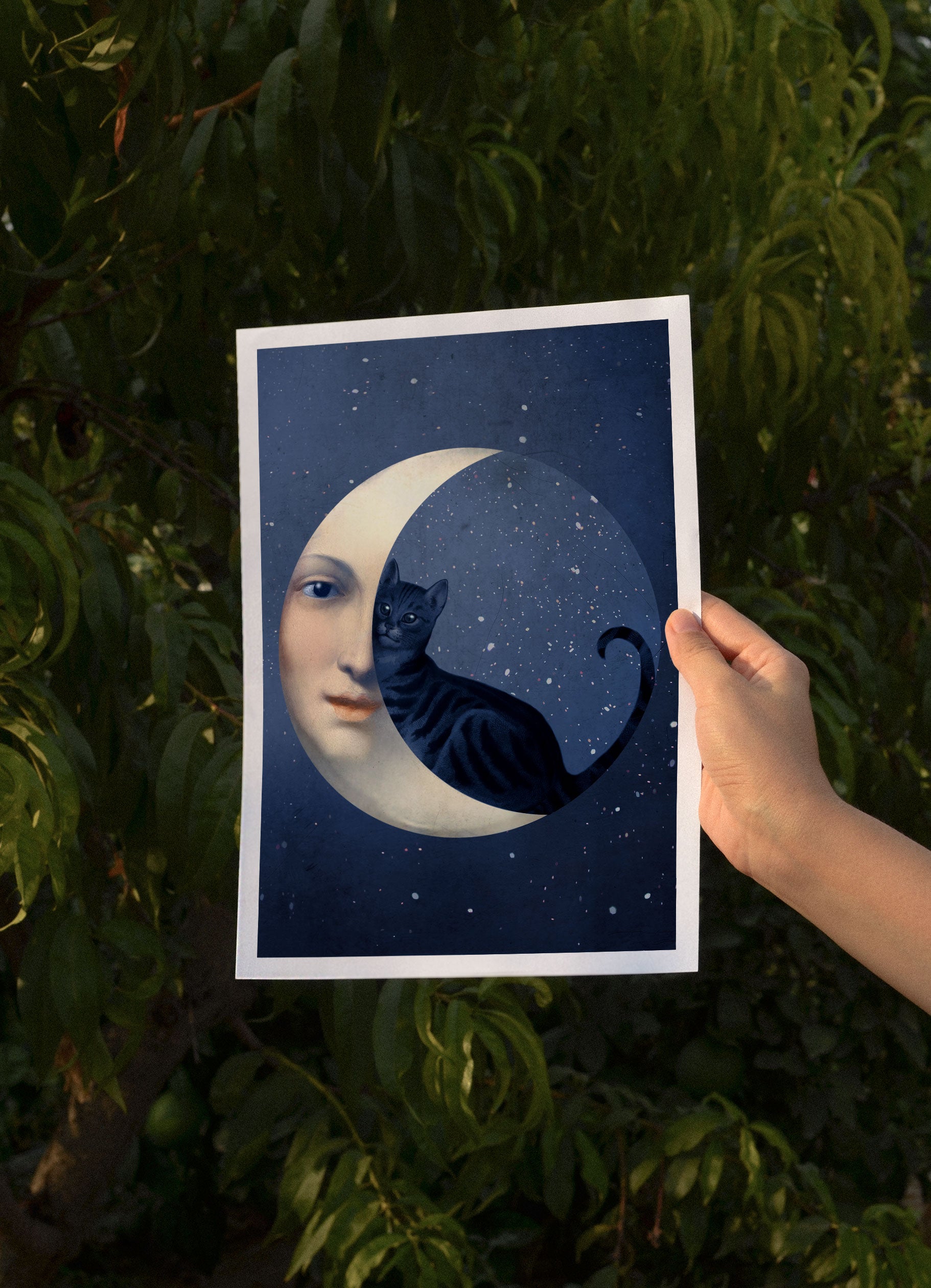 The Cat and the Moon, A4, Catrin Welz-Stein