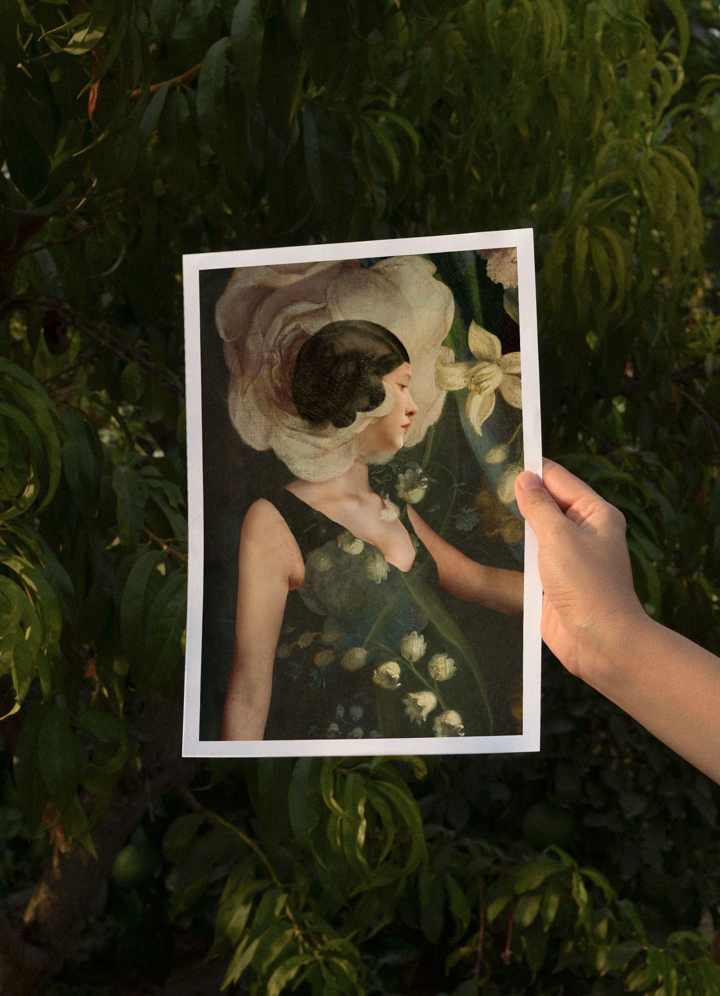 Lilies of the Valley, A4, Catrin Welz-Stein