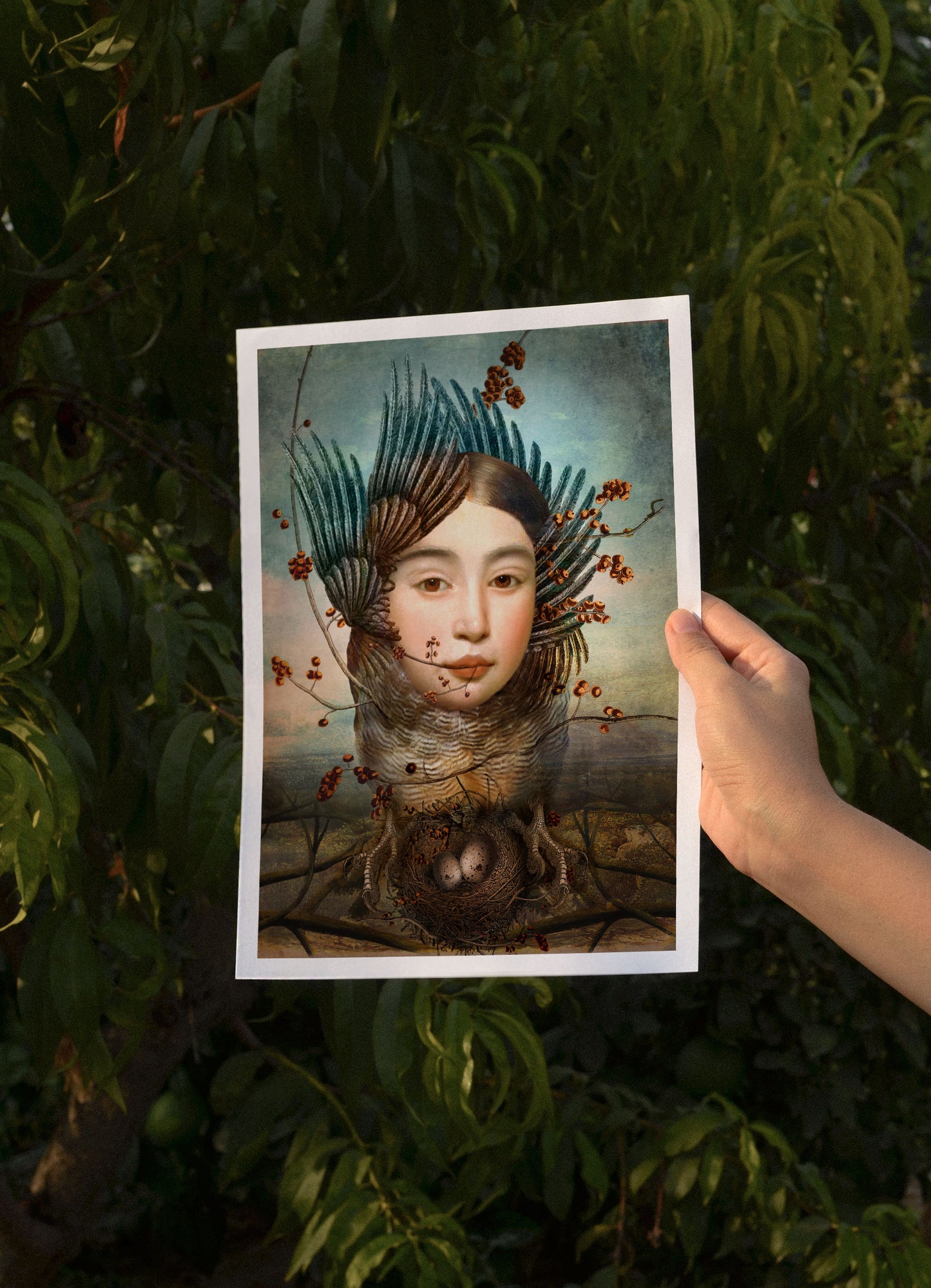 Nest Builder, A4, Catrin Welz-Stein