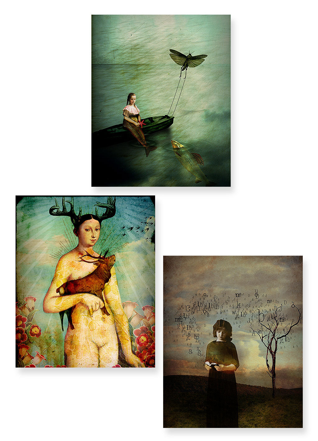 Greeting Card Set "Creation"