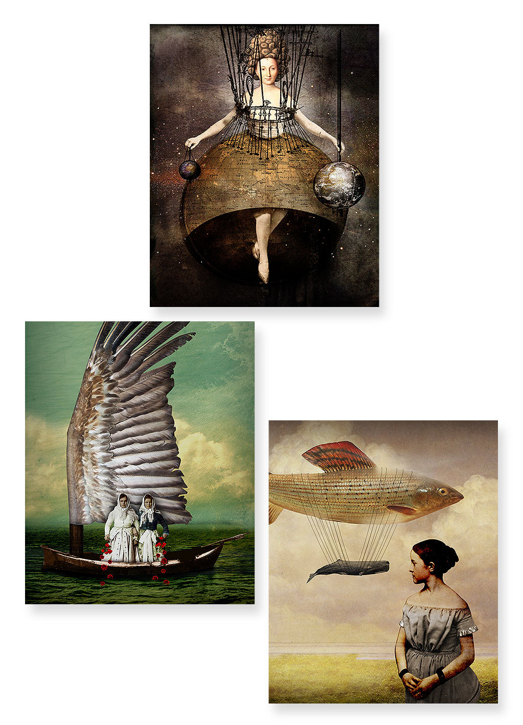 Greeting Cards "Fly"