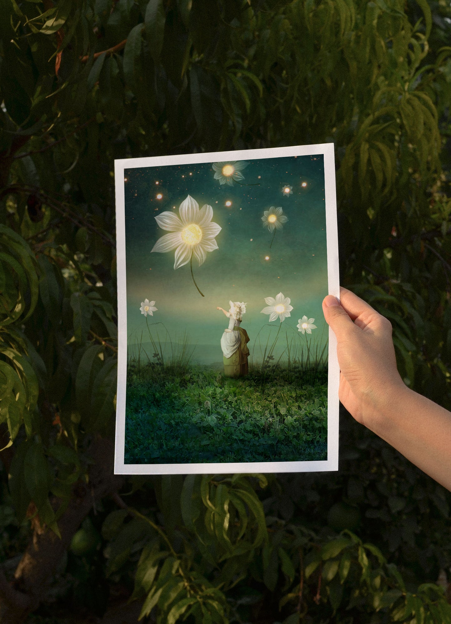 Starlight, A4, Catrin Welz-Stein