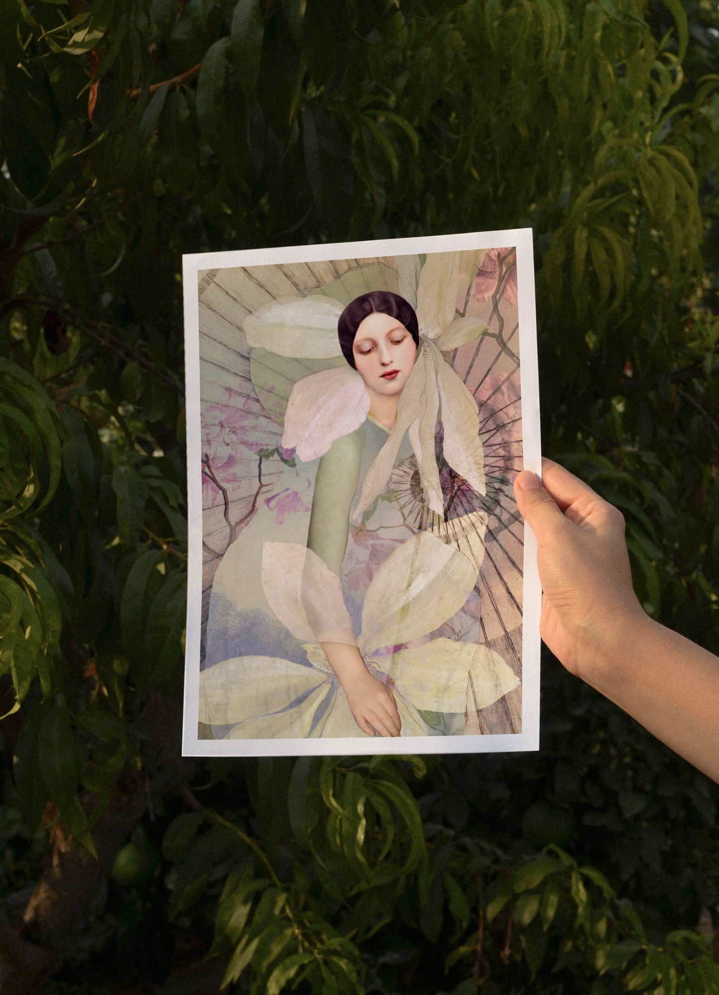 The Parasol, A4, Catrin Welz-Stein