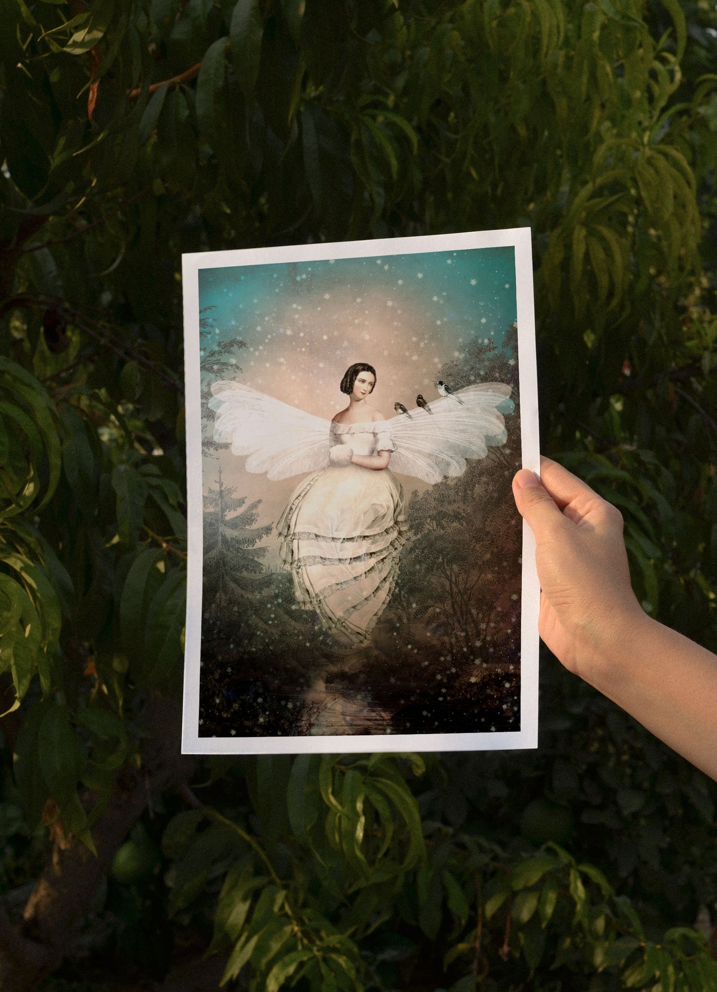 Winter Moth, A4, Catrin Welz-Stein
