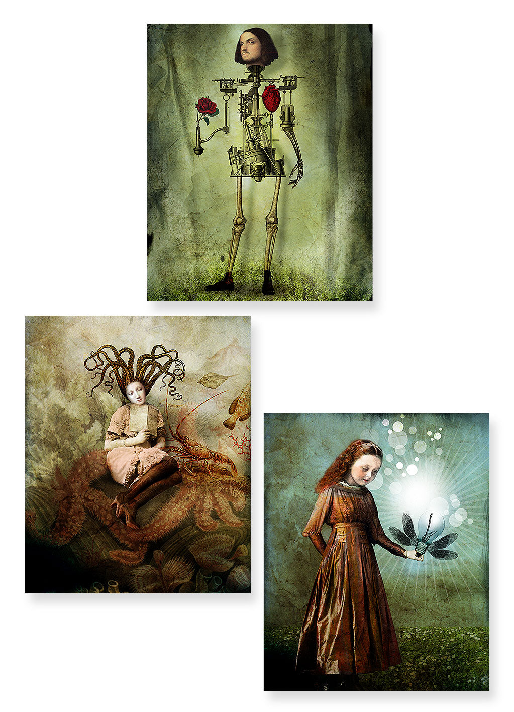 Greeting Card Set "Single"