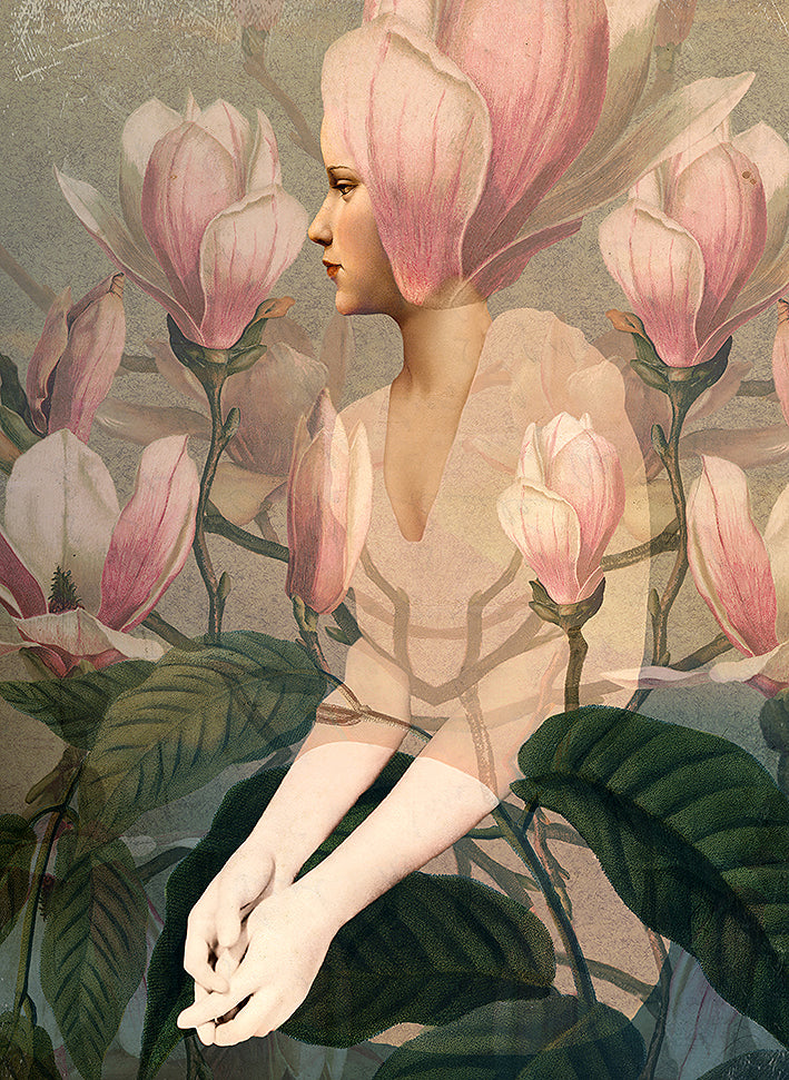Magnolia, Catrin Welz-Stein