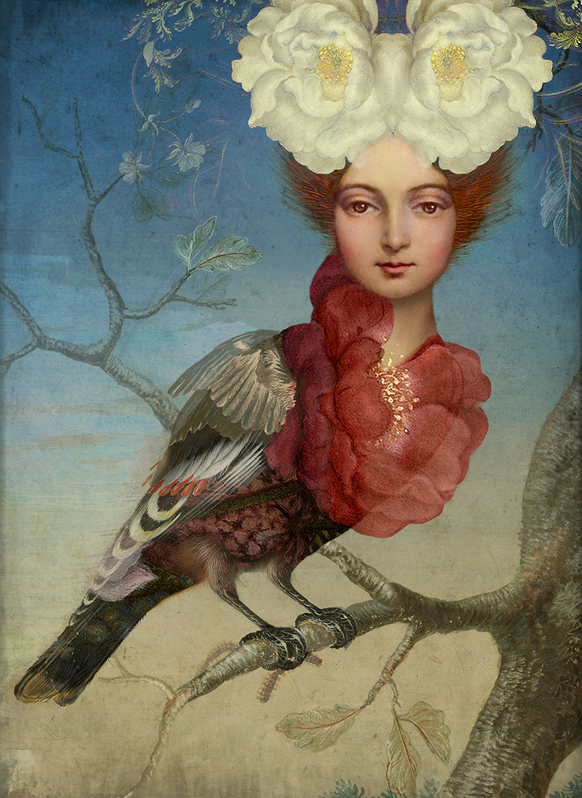 Paradiesvogel, Catrin Welz-Stein