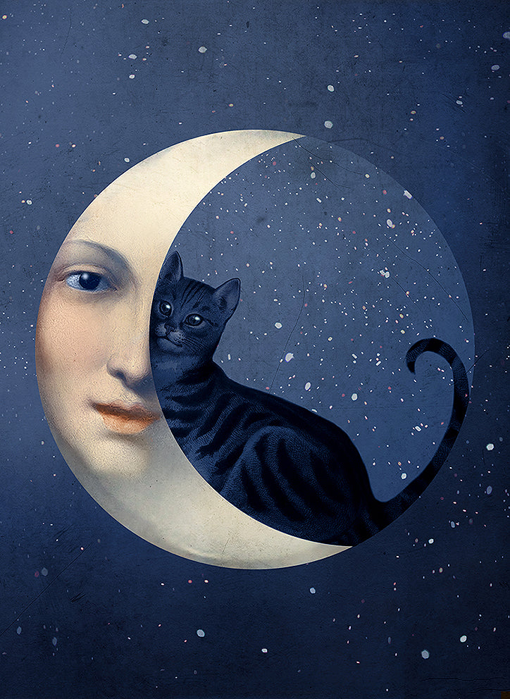 Cat and online the moon