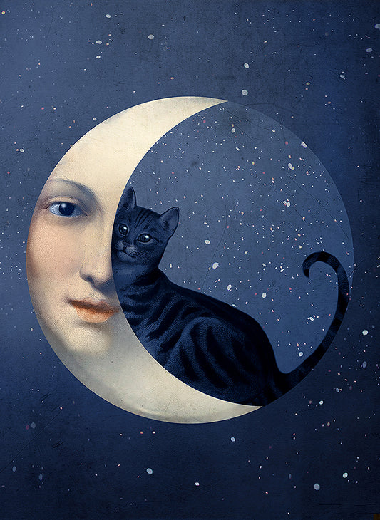The Cat and the Moon, Catrin Welz-Stein