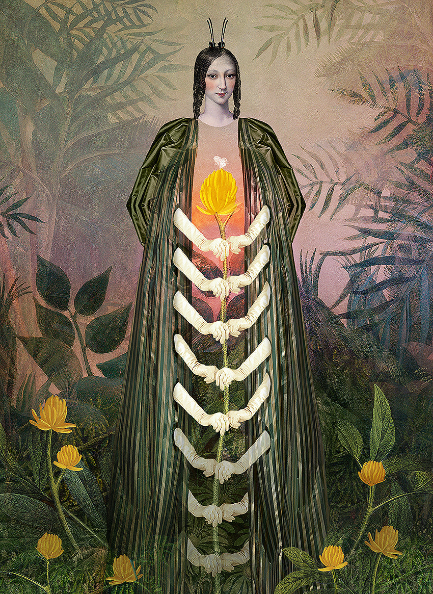 Miss Caterpillar