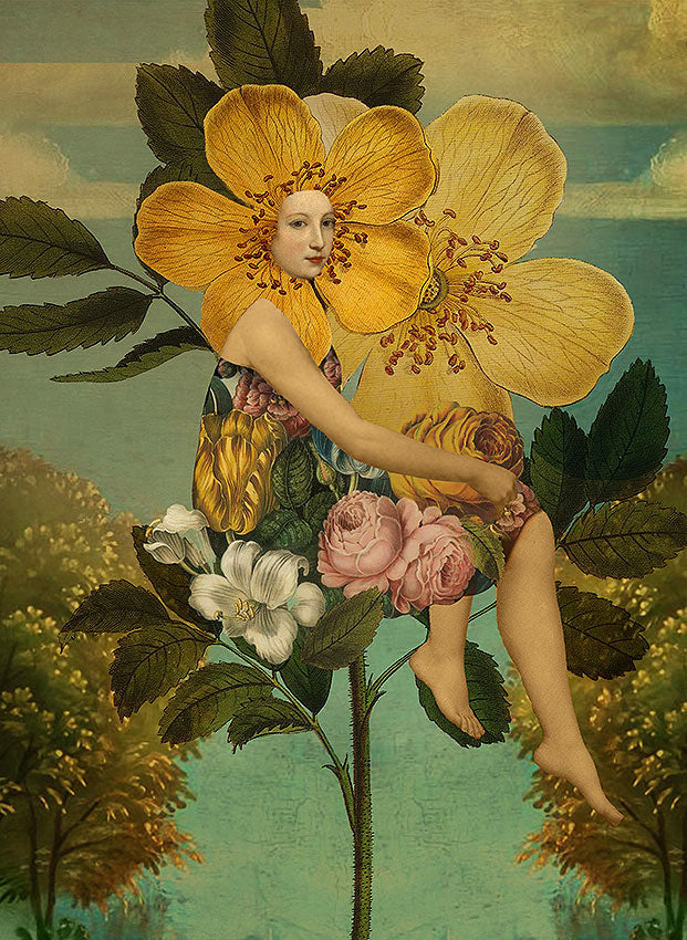 Sundays, Catrin Welz-Stein