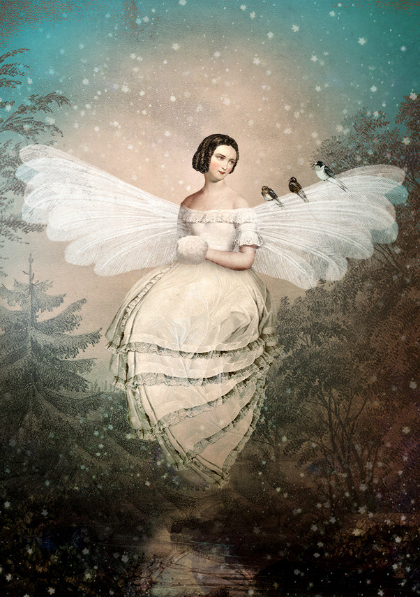 Winter Moth, Catrin Welz-Stein