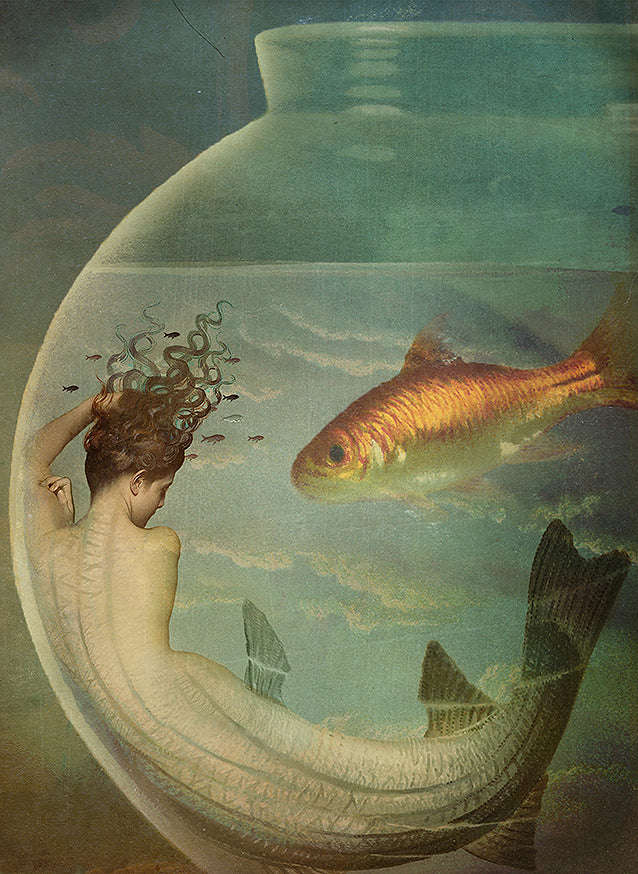 Contact, Catrin Welz-Stein