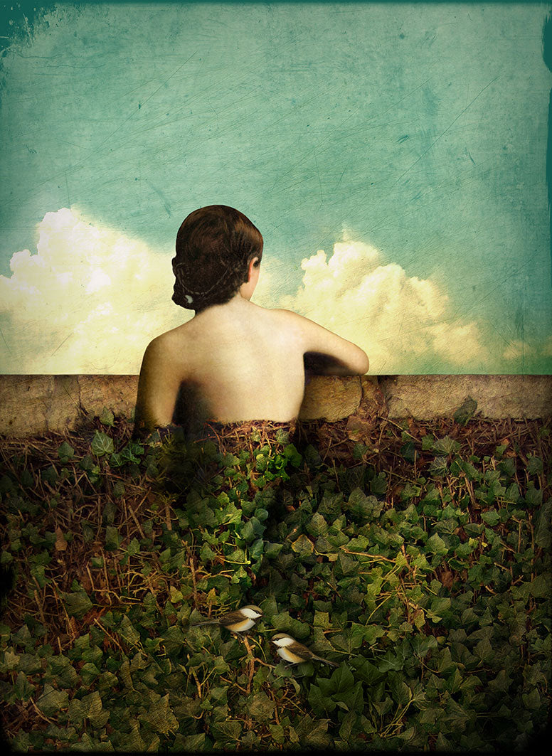 The View, Catrin Welz-Stein